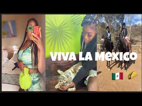 4 day cruise to Mexico | Horse back riding, petting tigers, swimming + MORE