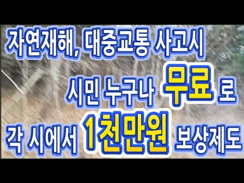 자연재해, 천재지변, 대중교통등 시민누구나 무료로 상해를 입거나 사망시 각시에서 최대 1천만원 보상하는 제도 시민안전보험에 대해 알아보도록 하겠습니다