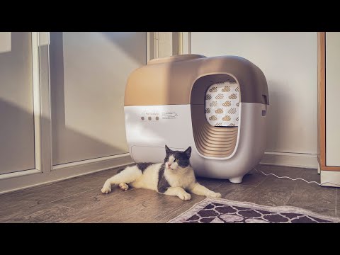 Best Self Cleaning Cat Litter box 2024? Petsnowy Snow+ Unboxing I Review