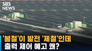 태양광 발전소, 봄철 '출력 제어' 예고…사업자들 반발↑ / SBS