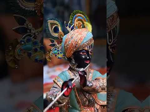 हरे कृष्णा हरे राम 🕉️🙏🙇#viralvideo #shortvideo #viralbhajan #viralsong #radhakrishna#radhebhakti