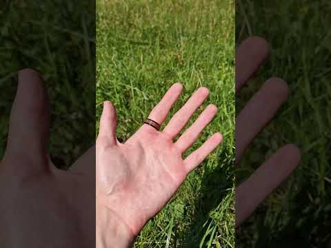 how to touch grass #grass #touchgrass