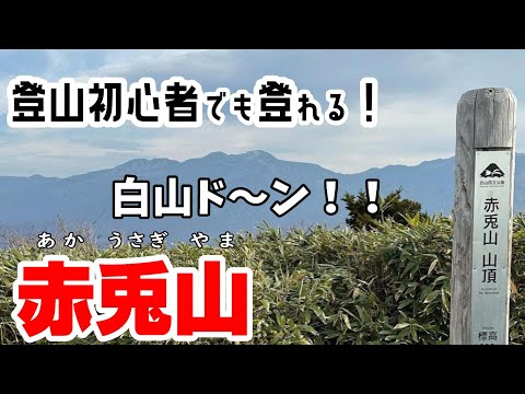 登山初心者でも登れる！ 白山がドーンと見える赤兎山♬*°