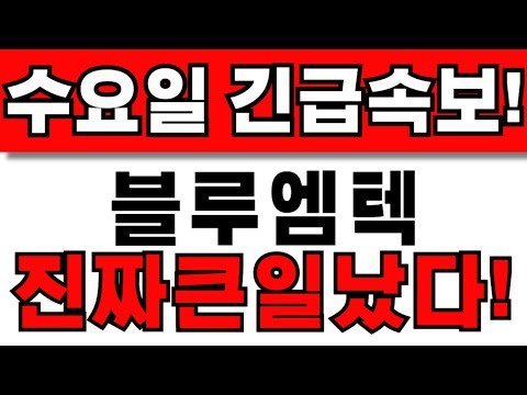 [블루엠텍 주가전망] 주주님들 필수시청! 앞으로 이렇게 대응하세요