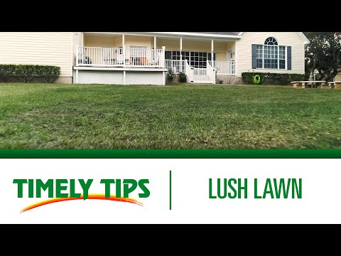 Timely Tips: How To Get a Lush Lawn | Menards