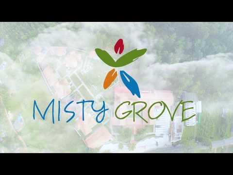 Misty Grove Resort | English