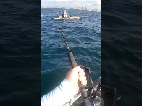 3 Miles Offshore on Kayak When I Caught THIS Giant Fish!!