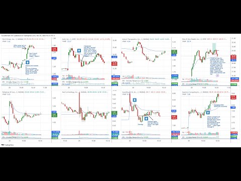 Play-by-Play of My Favorite Stock Day Trades & Mistakes, Nov  25, 2024 (PRCH, IONQ QUBT, SOUN, HIMS)