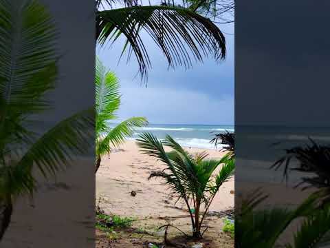 Sasihithlu beach is located north of Mangalore city in the state of Karnataka in India.