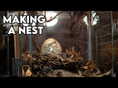 Making a nested egg enclosure [DESIGN]