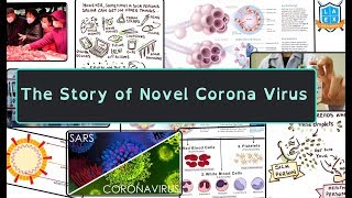 The Story of Corona Virus in Telugu || S&T || Mana La Excellence|| UPSC Coaching in Hyderabad