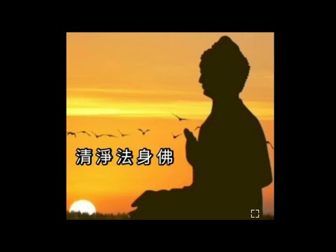 清淨法身佛♥清淨法身佛♥清淨法身毗盧遮那佛...