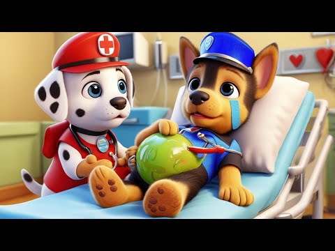 CHASE Went To The Hospital? What Happened?! Paw Patrol The Mighty Movie | So Sad Story | Rainbow 3