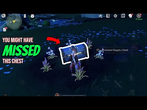 Special Chest you might have missed | Wuthering Waves