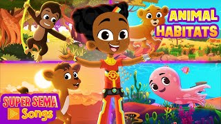 🦁 ANIMAL HABITATS song with Super Sema 🎶  Educational Kids Songs