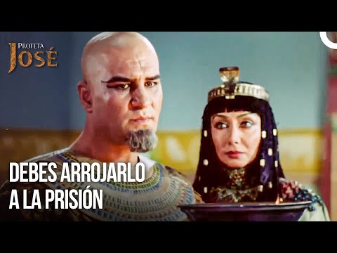 En Egipto, los Rumores Solo Terminan de Esta Manera | Diarios Del Palacio #15