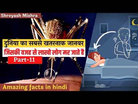 दुनिया का सबसे छोटा जानवर जिससे लाखों लोग मारे जाते हैं..? #factsinhindi #पार्ट11