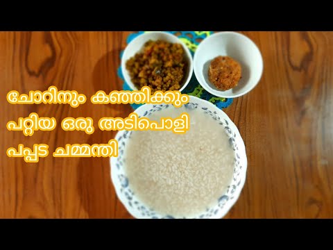 ചോറിനു കൂടെ  ഈ ഒരു പപ്പട ചമ്മന്തി മാത്രം മതി 😋||pappada chammanthi