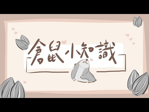 Motion Design | 倉鼠小知識懶人包