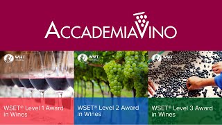 Why You Should Take a WSET Wine Course With AccademiaVino