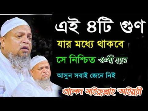 চারটি গুণ যার মধ্যে থাকবে সে নিশ্চয় আল্লাহর ওলী, #আল্লামা_খালেদ_সাইফুল্লাহ_আইয়ুবী