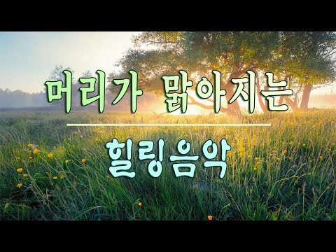 숲속에서 듣는 잔잔한 힐링음악 모음 2시간 🎵 아침음악, 명상음악, 스트레스해소음악, 요가음악