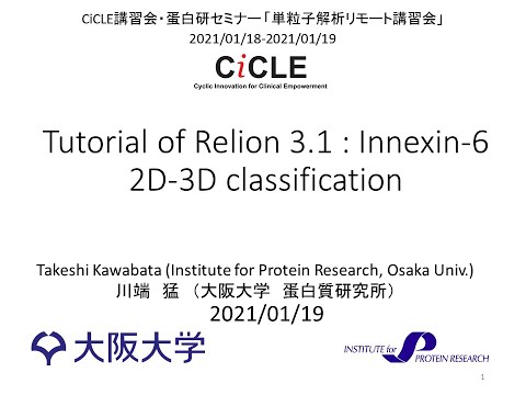 Tutorial of Relion 3.1: Innexin-6 ; 2D-3D classification : Innexin-6を題材としたRelion 3.1の講習 : 2D分類と3D分類