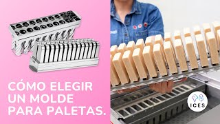 Eligiendo el Mejor Molde para Paletas: Tu Guía para los Moldes de Ataforma