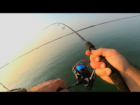 PESCA EN HERMOSO RÍO, Pescaria na Argentina. Pousadas Puerto Paraiso. pesca urbana