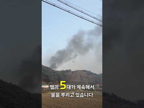 홍성 산불, 서부면 산불, 소방관님 감사합니다 / forest fires, firefighter #shorts