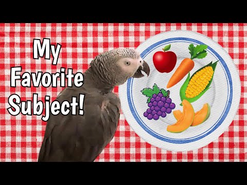 Einstein’s Favorite Subject: FOOD! 🍇🌽🥕