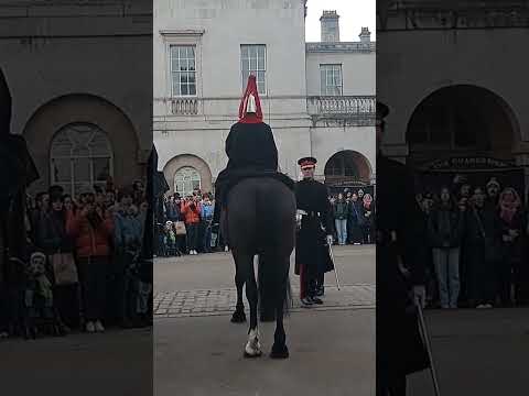 King's guards horses #king #guards #horse #london #india #ytshots @vichethediamonds#