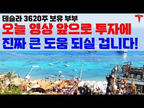 최근에큰 효과를 봤습니다! 250~280달러 사이에 대량 매수할 수 있게 해 주었습니다.