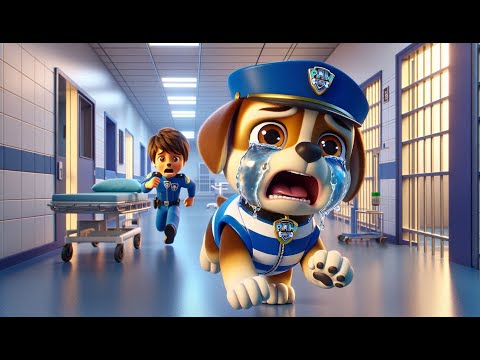 Paw Patrol Ultimate Rescue | Why CHASE Are In Prision? What Happened?! Funny Story - Rainbow 3