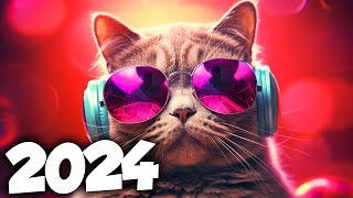 MÚSICA ELETRÔNICA 2024 🔥 AS MÚSICAS ELETRÔNICAS MAIS TOCADAS 🔥 Alok, Vintage Culture & David Guetta