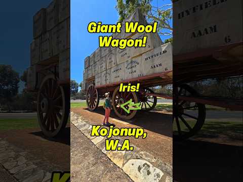 Giant Wool Wagon - Kojonup Western Australia #findinggspots