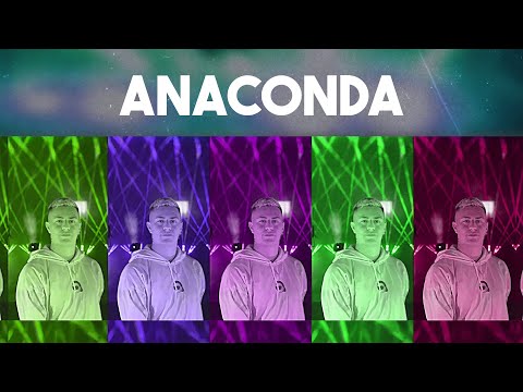 Dj Alan Quiñonez | Aleteo mix | ANACONDA