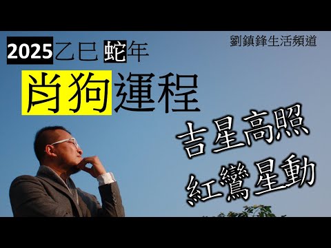 2025年肖狗運程| 吉星高照 紅鸞星動| 月德 攀鞍 紅鸞| 劉鎮鋒生活頻道