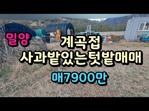 밀양 계곡접 사과밭과 농막있는 텃밭매매 매7900만