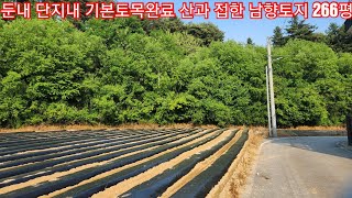 현장매물 브리핑 | 0529-둔내토지 |  시내 5분 산과접 도로 수도 전기 배수 OK 남향 전원용지 266평  7980만원 (계약안내 033 342 6640)