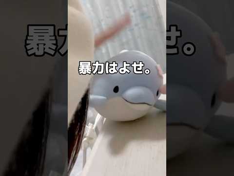 この動画で泣ける人疲れてるんで休んでください。シェルグミ編🧜‍♀️🐬