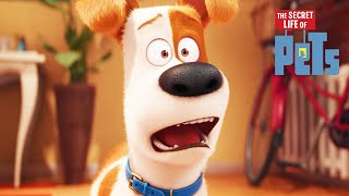 Max Gets a New... Brother? | The Secret Life of Pets | Mini Moments