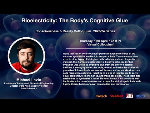 Bioelectricity: The Body's Cognitive Glue - Michael Levin - 4/18/24