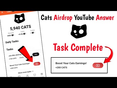 Cats Airdrop YouTube Task Answer | cats youTube task complete cats airdrop answer