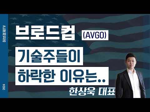 브로드컴(AVGO) - 기술주들이 하락한 이유는..