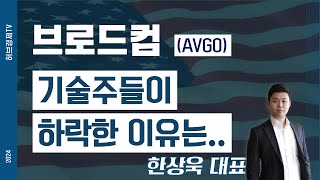 브로드컴(AVGO) - 기술주들이 하락한 이유는..