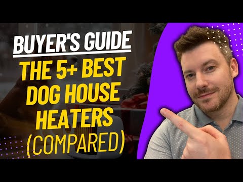 TOP 5 Best Dog House Heaters - Best Dog House Heater Review (2024)