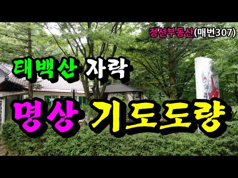 태백산 자락 명상 기도도량  / 정선토지박사