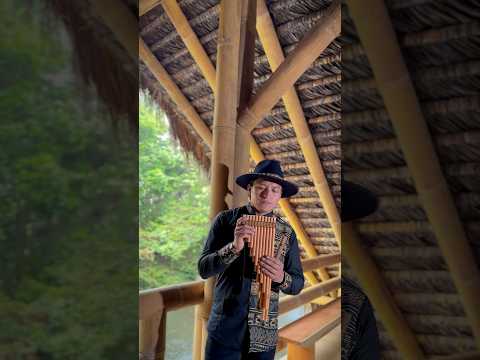 Caranqui - Flute #music #live #ecuador #amazon #relax #meditation #nature #lake #bamboo