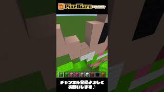 【ドット絵 マイクラ早送りショート動画】ずんだもん【ASMR】｜Minecraft Pixel Art Short Video: Zundamon #shorts